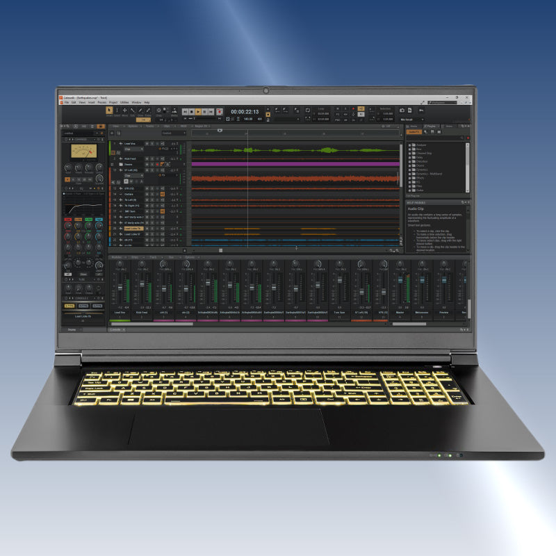Platinum Laptop DAW